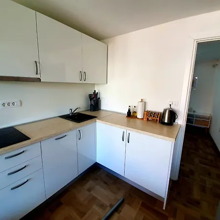 Domitrovic Apartamento *