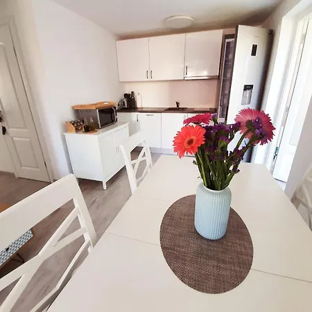 Domitrovic Apartamento