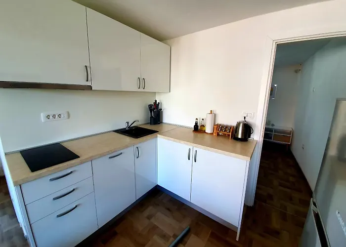 Domitrovic アパート *